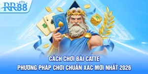 Cách Chơi Bài Catte – Phương Pháp Chơi Chuẩn Xác Mới Nhất 2026