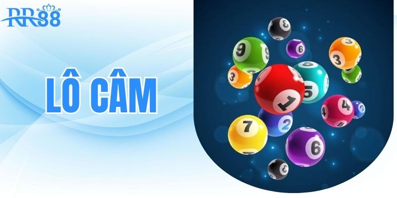 Tìm hiểu về Lô câm cùng RR88