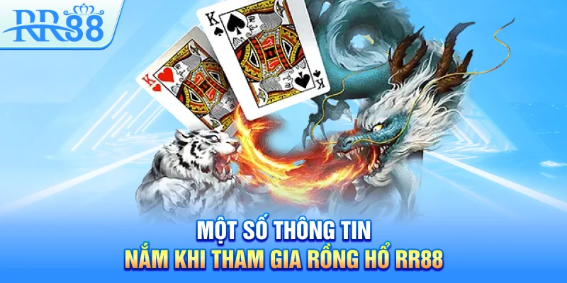 Một số thông tin cần nắm khi tham gia Rồng Hổ RR88