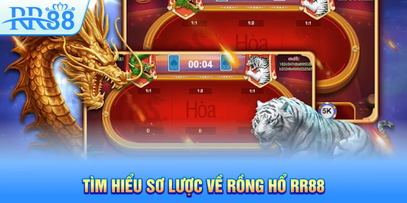 Tìm hiểu sơ lược về Rồng Hổ RR88